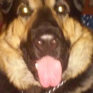 Meet your Posher, Teri